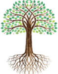 Quantum Root Wellness